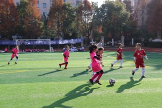 IMG_4590.JPG