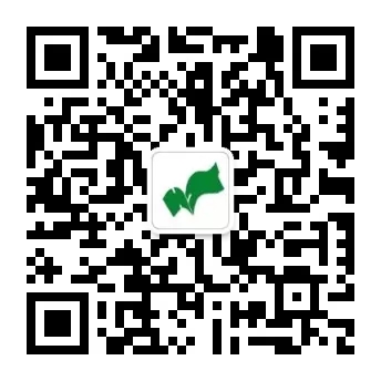 11abd9e381f1217bb21dff883de8500d-sz_7986.webp.jpg