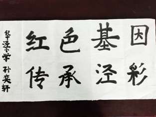 1598581944540684.jpg 华泾小学孙奕轩四四班微信 hjxx_sunjw.jpg